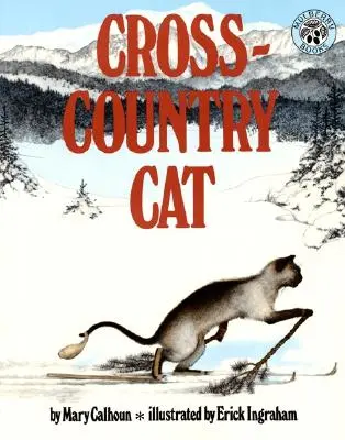 Pisica Cross-Country - Cross-Country Cat