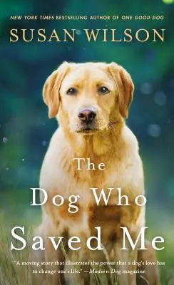 Câinele care m-a salvat - Un roman - Dog Who Saved Me - A Novel