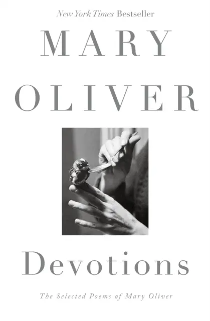 Devoțiuni - Devotions