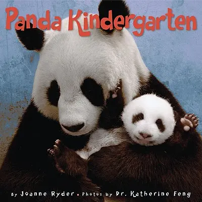 Grădinița Panda - Panda Kindergarten