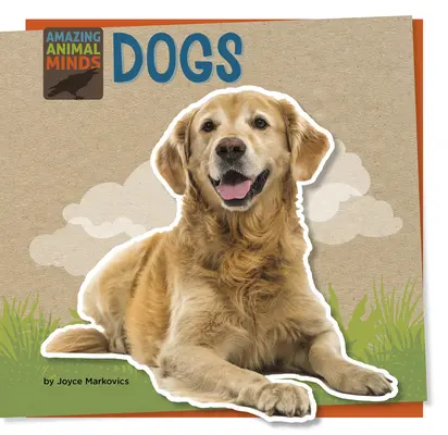 Câini - Dogs