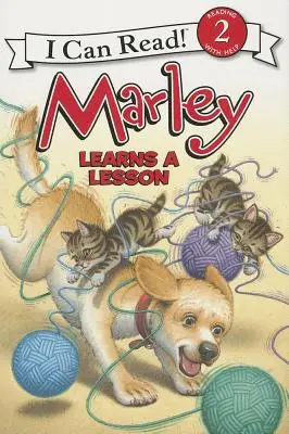 Marley învață o lecție - Marley Learns a Lesson