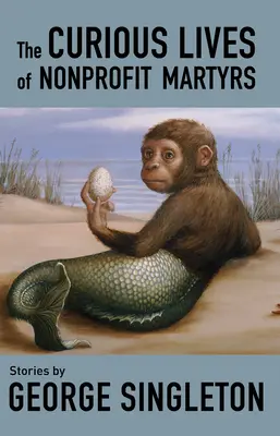 Curioasele vieți ale martirilor nonprofit - The Curious Lives of Nonprofit Martyrs