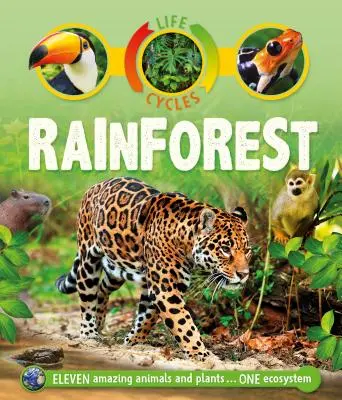 Cicluri de viață: Pădurea tropicală - Life Cycles: Rainforest