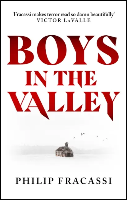 Boys in the Valley (Băieți în vale) - Boys in the Valley