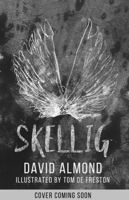 Skellig: ediția ilustrată cu ocazia celei de-a 25-a aniversări - Skellig: the 25th anniversary illustrated edition
