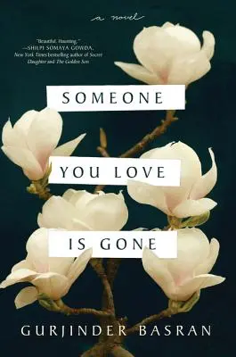 Cineva pe care îl iubești a dispărut - Someone You Love Is Gone