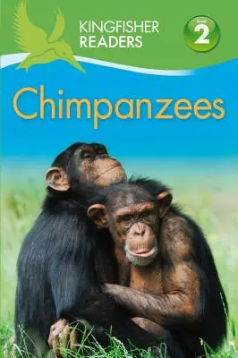 Kingfisher Readers: Chimpanzees (Nivelul 2: încep să citesc singur) - Kingfisher Readers: Chimpanzees (Level 2 Beginning to Read Alone)