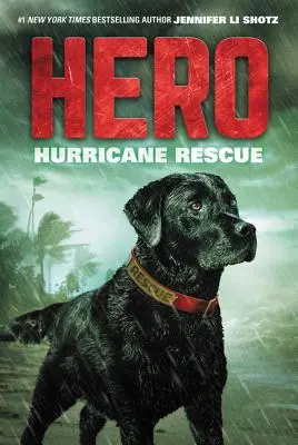 Erou: salvare în caz de uragan - Hero: Hurricane Rescue