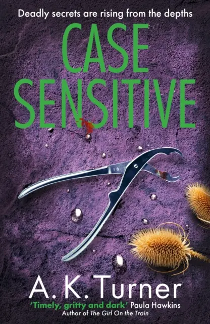 Case Sensitive - Un mister judiciar captivant plasat în Camden - Case Sensitive - A gripping forensic mystery set in Camden