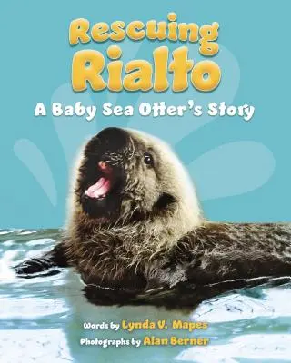 Salvarea lui Rialto: Povestea unui pui de vidră de mare - Rescuing Rialto: A Baby Sea Otter's Story