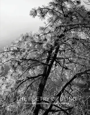 The Poetry of Being: Fotografii și Haikus - The Poetry of Being: Photographs and Haikus