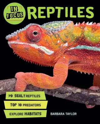 În centrul atenției: Reptile - In Focus: Reptiles