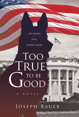 Prea adevărat pentru a fi bun - Too True to Be Good