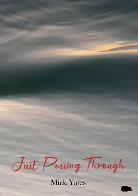 Doar în trecere - Just Passing Through
