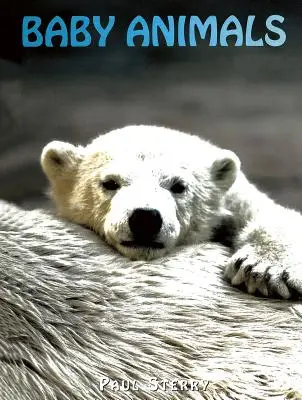 Pui de animale - Baby Animals