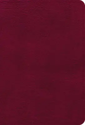 Biblia de referință NASB Compact cu tipar mare, Burgundy Leathertouch - NASB Large Print Compact Reference Bible, Burgundy Leathertouch
