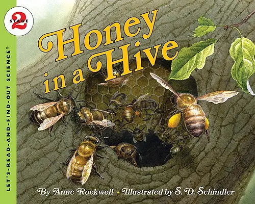 Miere într-un stup - Honey in a Hive
