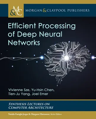 Procesarea eficientă a rețelelor neuronale profunde - Efficient Processing of Deep Neural Networks