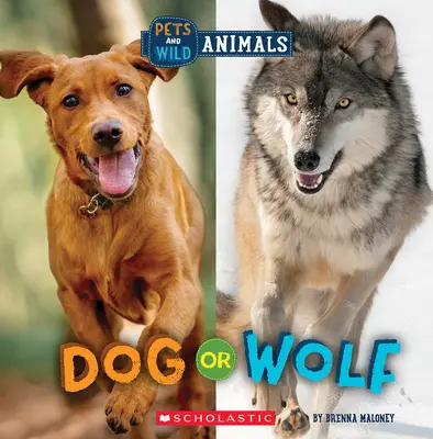Câine sau lup (Wild World: Pets and Wild Animals) - Dog or Wolf (Wild World: Pets and Wild Animals)