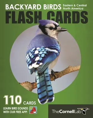 Backyard Birds Flash Cards - America de Nord Centrală și de Est - Backyard Birds Flash Cards - Eastern & Central North America