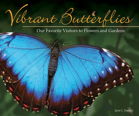 Fluturi vibranți: Vizitatorii noștri preferați la flori și grădini - Vibrant Butterflies: Our Favorite Visitors to Flowers and Gardens