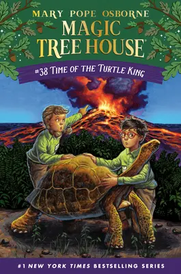 Vremea regelui țestoasă - Time of the Turtle King