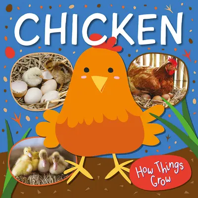 Pui - Chicken