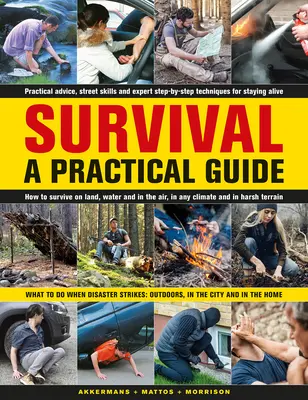 Supraviețuirea: Un ghid practic: Ce să faci când se produce un dezastru: În aer liber, în oraș și în casă - Survival: A Practical Guide: What to Do When Disaster Strikes: Outdoors, in the City and in the Home
