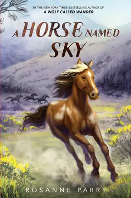 Un cal numit Sky - A Horse Named Sky