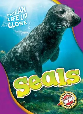 Foci - Seals