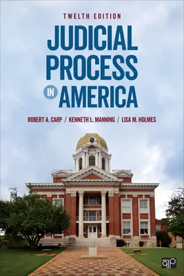 Procesul judiciar în America - Judicial Process in America