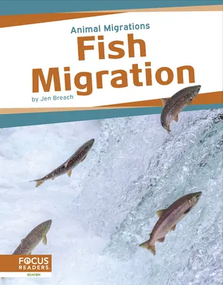 Migrația peștilor - Fish Migration