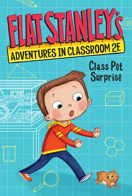 Aventurile lui Flat Stanley în sala de clasă 2e #1: Surpriza animalului de clasă - Flat Stanley's Adventures in Classroom 2e #1: Class Pet Surprise