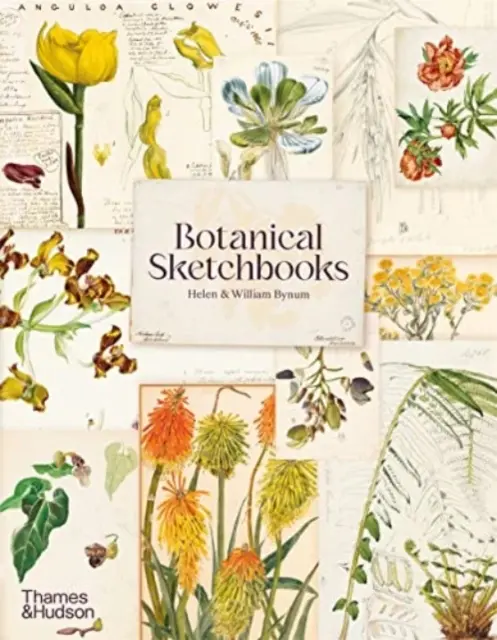 Caiete de schițe botanice - Botanical Sketchbooks