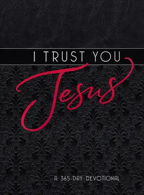 Am încredere în Tine, Isus: Un devoțional de 365 de zile - I Trust You Jesus: A 365-Day Devotional