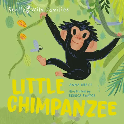 Micul cimpanzeu: O zi din viața unui pui de cimpanzeu - Little Chimpanzee: A Day in the Life of a Baby Chimp