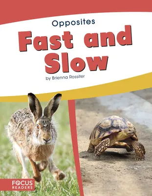 Rapid și lent - Fast and Slow