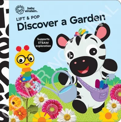 Baby Einstein: Descoperă o grădină Lift & Pop - Baby Einstein: Discover a Garden Lift & Pop