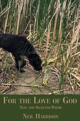 Pentru dragostea lui Dumnezeu: Poezii noi și alese - For the Love of God: New and Selected Poems