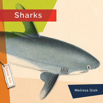 Rechinii - Sharks