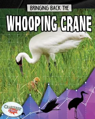 Aducerea înapoi a cocorului Whooping - Bringing Back the Whooping Crane