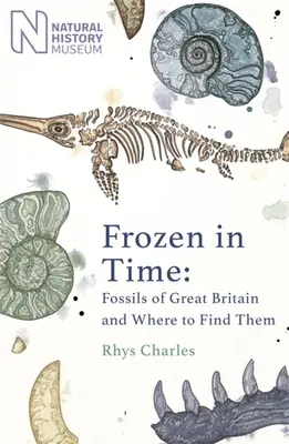Înghețați în timp: Fosilele Marii Britanii și unde le putem găsi: Fossils of Great Britain and Where to Find Them - Frozen in Time: Fossils of Great Britain and Where to Find Them