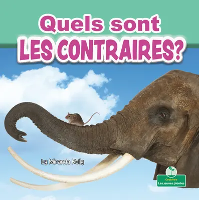 Quels Sont Les Contraires? (Ce sunt opusele?) - Quels Sont Les Contraires? (What Are Opposites?)