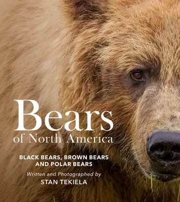 Urșii din America de Nord: Urși negri, urși bruni și urși polari - Bears of North America: Black Bears, Brown Bears, and Polar Bears