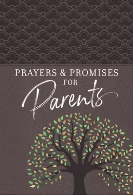 Rugăciuni și promisiuni pentru părinți - Prayers & Promises for Parents