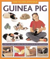 Cum să ai grijă de porcușorul tău de Guineea - How to Look After Your Guinea Pig