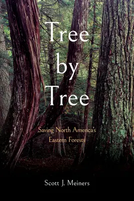 Copac cu copac: Salvarea pădurilor estice ale Americii de Nord - Tree by Tree: Saving North America's Eastern Forests