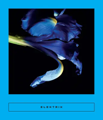 Elektrik: Scrieri din Caraibe - Elektrik: Caribbean Writing