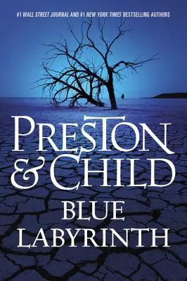 Labirintul albastru - Blue Labyrinth